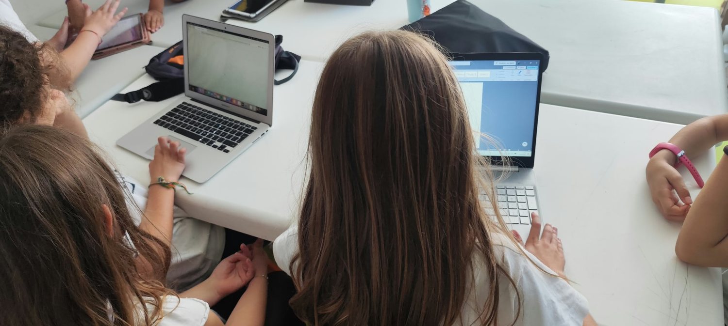 Alunas a trabalhar em computadores portáteis